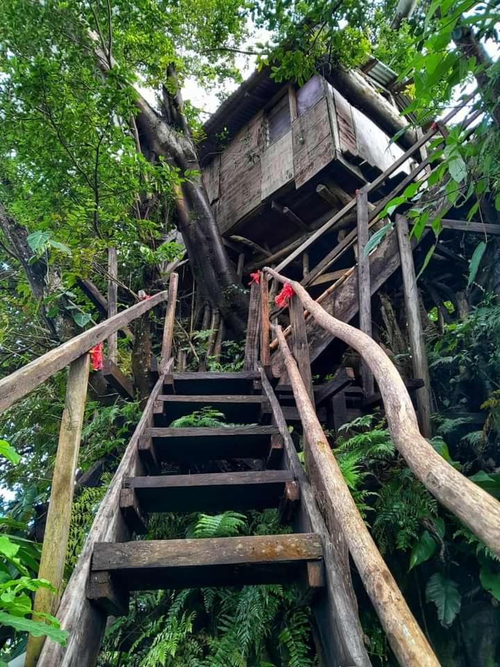 Castle Tree House And Bungalow White Sands Ngoại thất bức ảnh