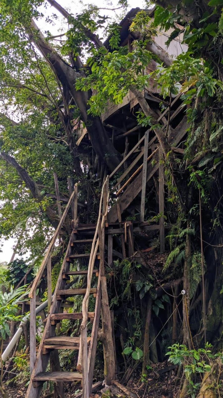 Castle Tree House And Bungalow White Sands Ngoại thất bức ảnh