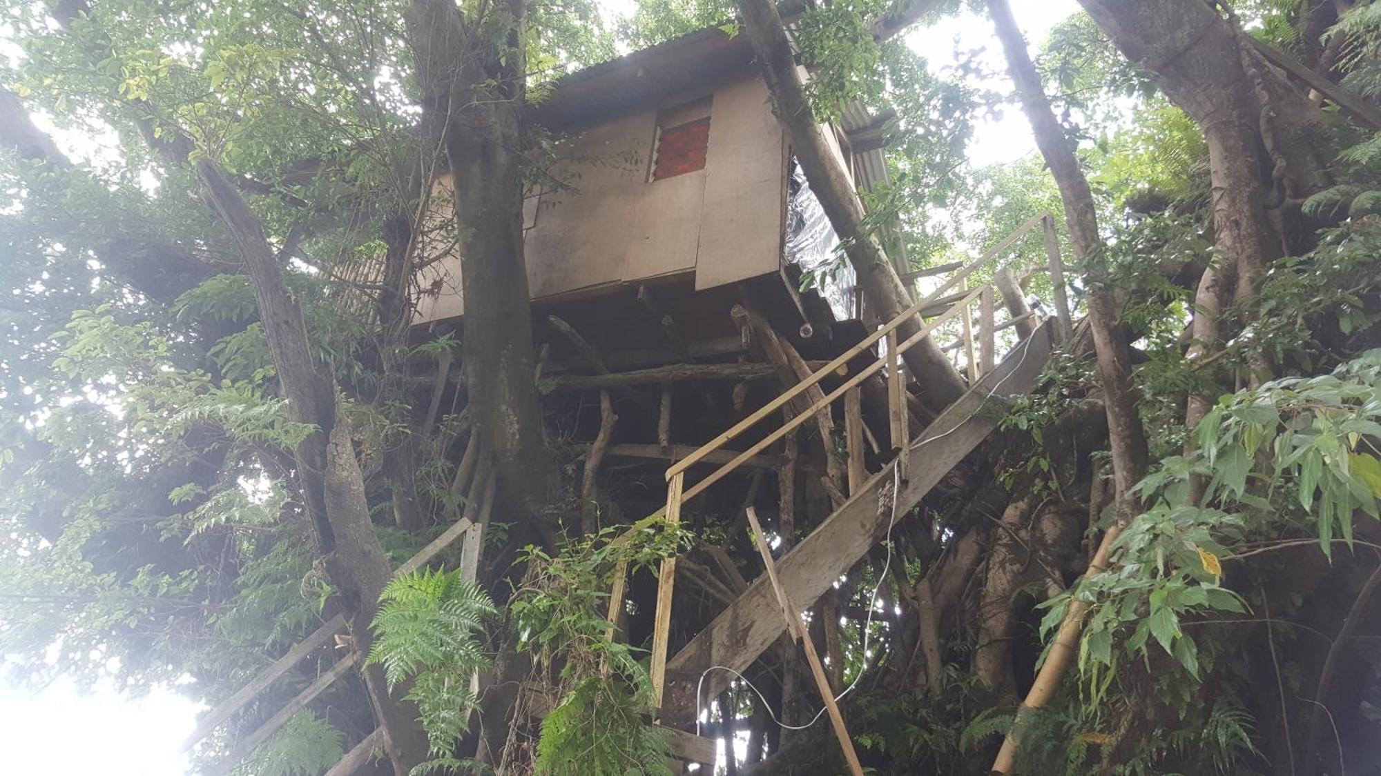 Castle Tree House And Bungalow White Sands Phòng bức ảnh