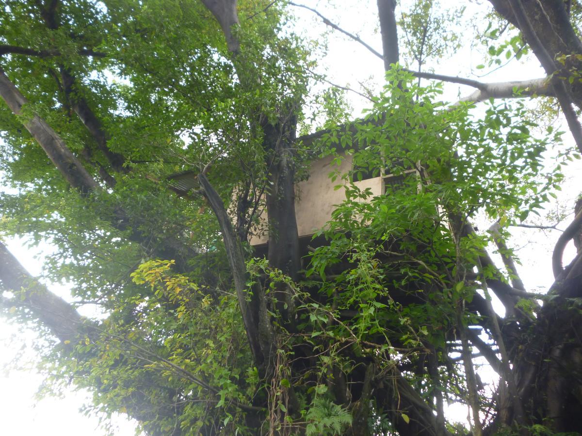 Castle Tree House And Bungalow White Sands Ngoại thất bức ảnh
