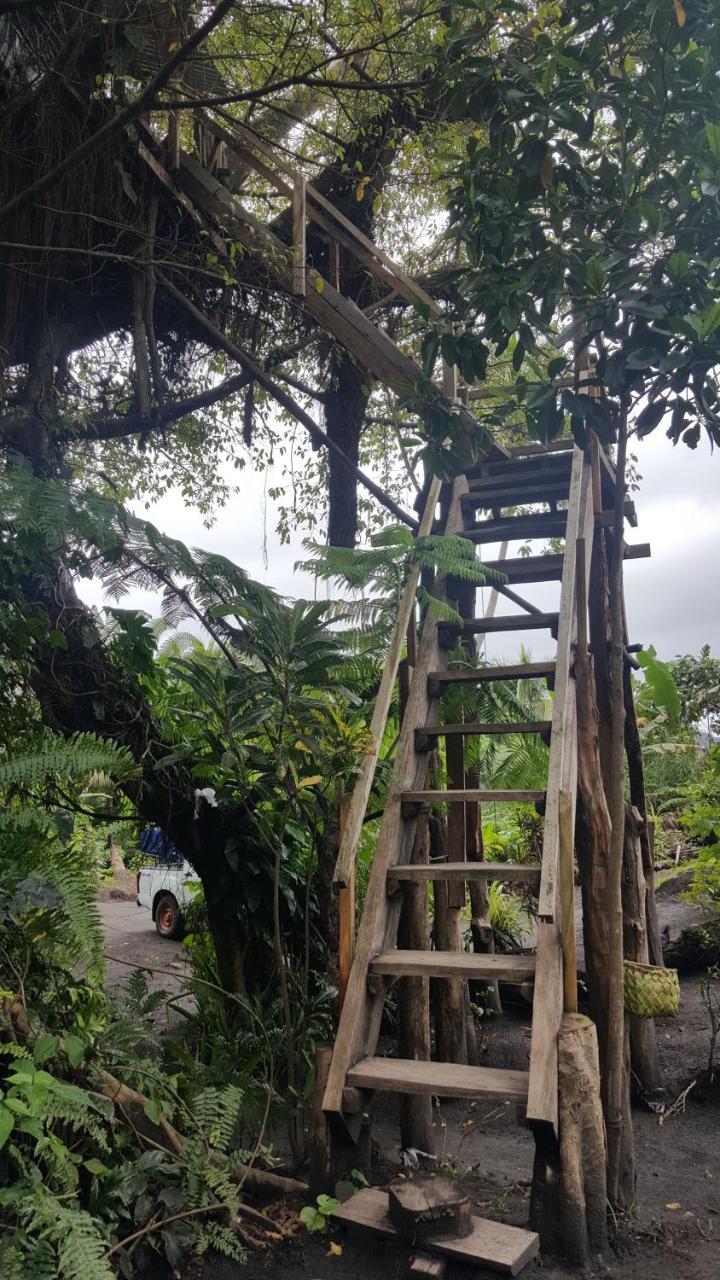 Castle Tree House And Bungalow White Sands Ngoại thất bức ảnh